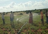 What is ‘Agri-Rain’? Field Notes from Anantapur