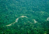 How Regenerative Tourism Combats Deforestation of the Amazon