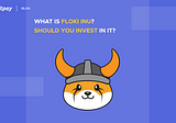 What is Floki Inu (FLOKI)? Should you invest in it?