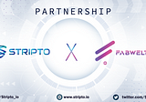 Stripto partners with Fabwelt