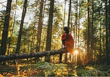 How trees benefit mental and physical health