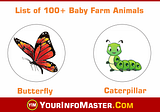 Baby Farm Animals — List of 100+ Popular Names of Baby Animals in English — Your Info Master