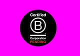 Making the working world work for everyone — cementing our social impact as a B Corp organisation