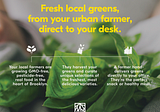 Farm To Local by Square Roots — a better way to snack at work.