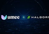 Проект UMEE объявил о партнерстве с Halborn Security