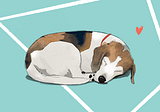 Last Night a Beagle Saved My Life