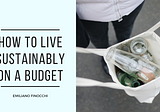 How to Live Sustainably on a Budget