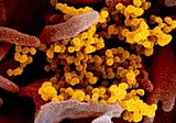 Mining public datasets to address the Coronavirus epidemic