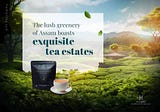 Preserving the Legacy of Assam Tea: Celebrating the Rich Tradition and Legacy of Assam’s Finest…