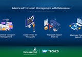 Advanced SAP Transport Management with ReleaseOwl