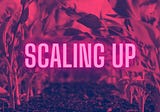 STRATEGY FOR SCALE-UPS
