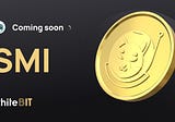 Attention SMI Voyagers! Top 50 CEX listing incoming 🤩🚀