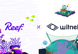 Witnet Launches Reef Support to Bring Truly Decentralized Oracles to the Reef Ecosystem