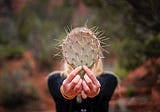 Six Decent Ways to Respond to a Prickly Person