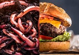 Worms or a cheeseburger?