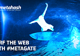 #MetaHash secures Internet