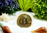 SnapBots News Review-Các thợ đào Bitcoin có thể chứng minh tiềm năng xanh của họ bằng cách trải qua…
