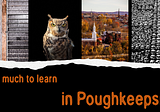 The Wisdom of Poughkeepsie