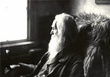 Walt Whitman: Crossing Brooklyn Ferry
