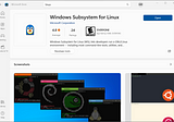 Windows 11 as the WM for Linux
