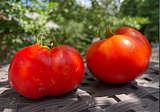 Joe’s Tomatoes