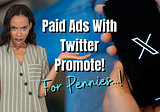 Twitter Promote With Paid Ads For Sales!