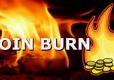 Can Burning Coins Increase the Price