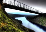Vulnerable authenticity bridges divides