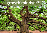 Daily Post #508 Can one develop a growth mindset?
