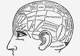 Shades of Gray: Towards a New Way of Categorizing Psychiatric Illness