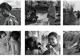 An Expression of Life - The Apu Trilogy