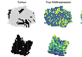 Integration of Spatial Transcriptomics and Histology images