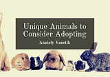 Unique Animals to Consider Adopting