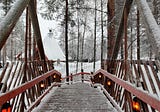 Winter Wonderland in Rovaniemi
