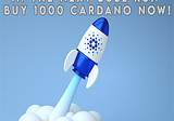 How to Get Rich in the Next Bull Run: 4 Unmissable Reasons to Buy 1000 Cardano Now!