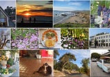 Addicted to Flickr After Taxes and Can’t Stop Posting