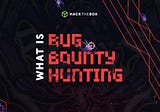 What is Bug Bounty Hunting?