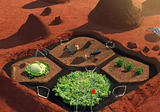 Before we leave for Mars, what can we do here at Home-Earth
