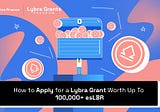 How To Apply For A Lybra Grant Worth Up To 100,000+ esLBR