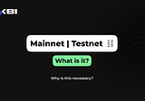 What is a mainnet?