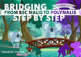 Step by step from BSC to Polygon