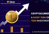 Cryptocurrencies: A Short Term or Long Term Investment?
