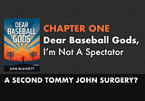 Dear Baseball Gods: A Memoir | Free Sample Chapter of the Book
