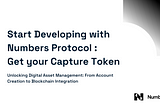 Start Developing with Numbers Protocol: Get your Capture Token