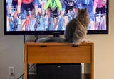 Muffin Loves Cycling, Too
