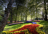 Colours of Keukenhof Gardens, Lisse, Netherlands