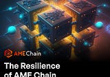 Resilience of AME Chain