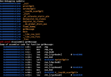 bypassing non executable stack by abusing C functions to leak addresses from GOT