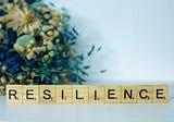 Thoughts on Resilience