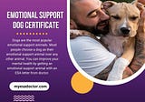 Emotional Support Dog Certification